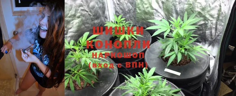 Бошки Шишки White Widow  мориарти Telegram  Кушва 